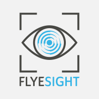Flyesight