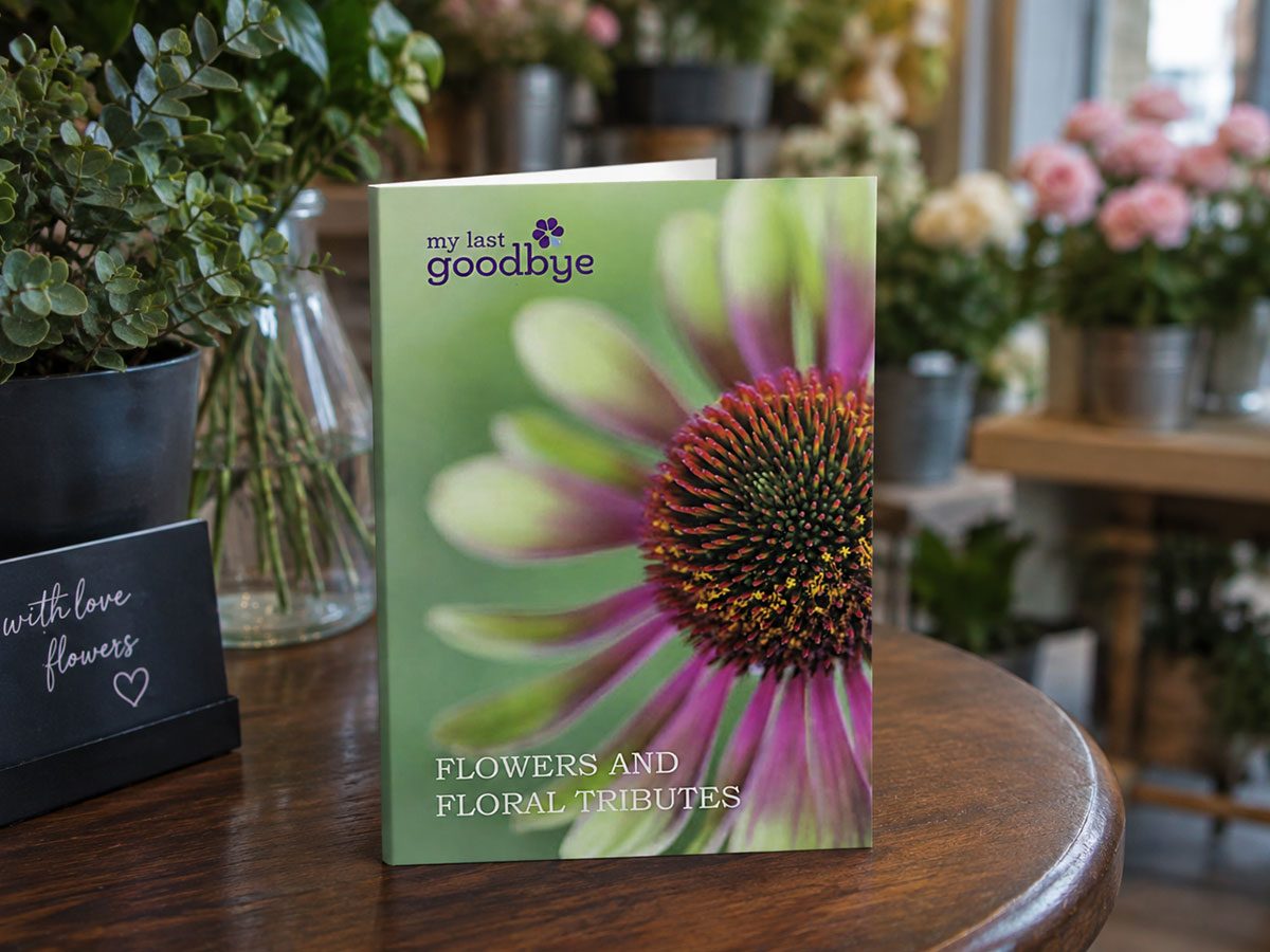A5 Brochure